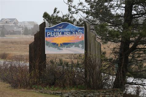 Plum Island beaches reopen after bacteria in swimming waters tested